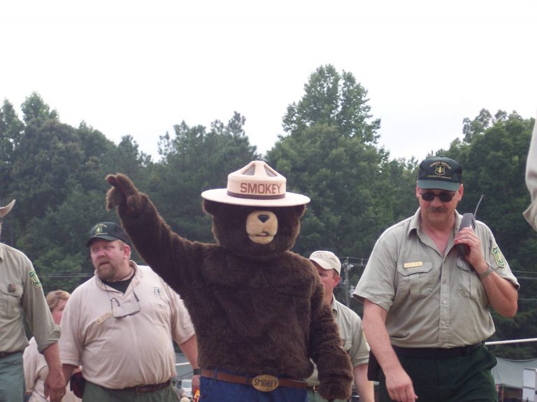 junior ranger DAY