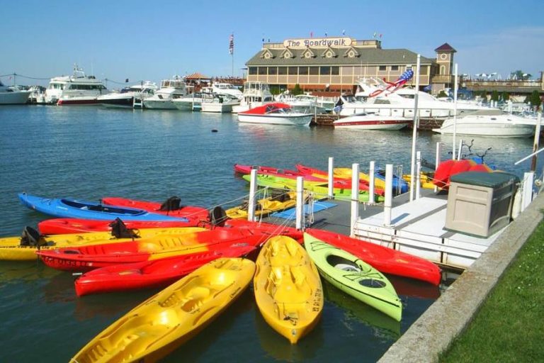 kayak the bay