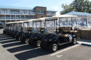 PIB condos golf carts