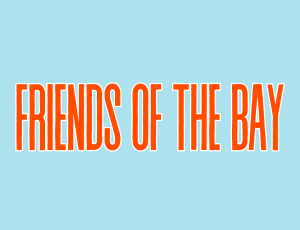 Friends Of The Bay II | Fort Myers Beach