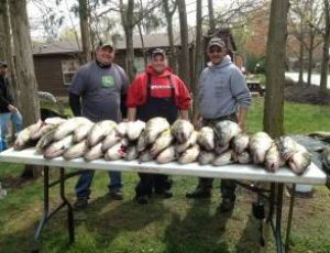 Put-in-Bay Record Walleye Fishing Expected in 2017!